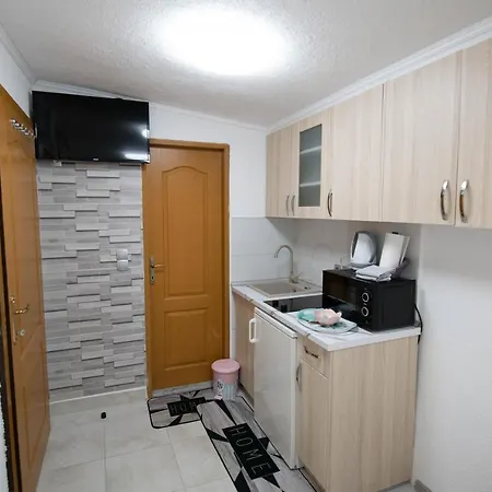 Luxury Apartment